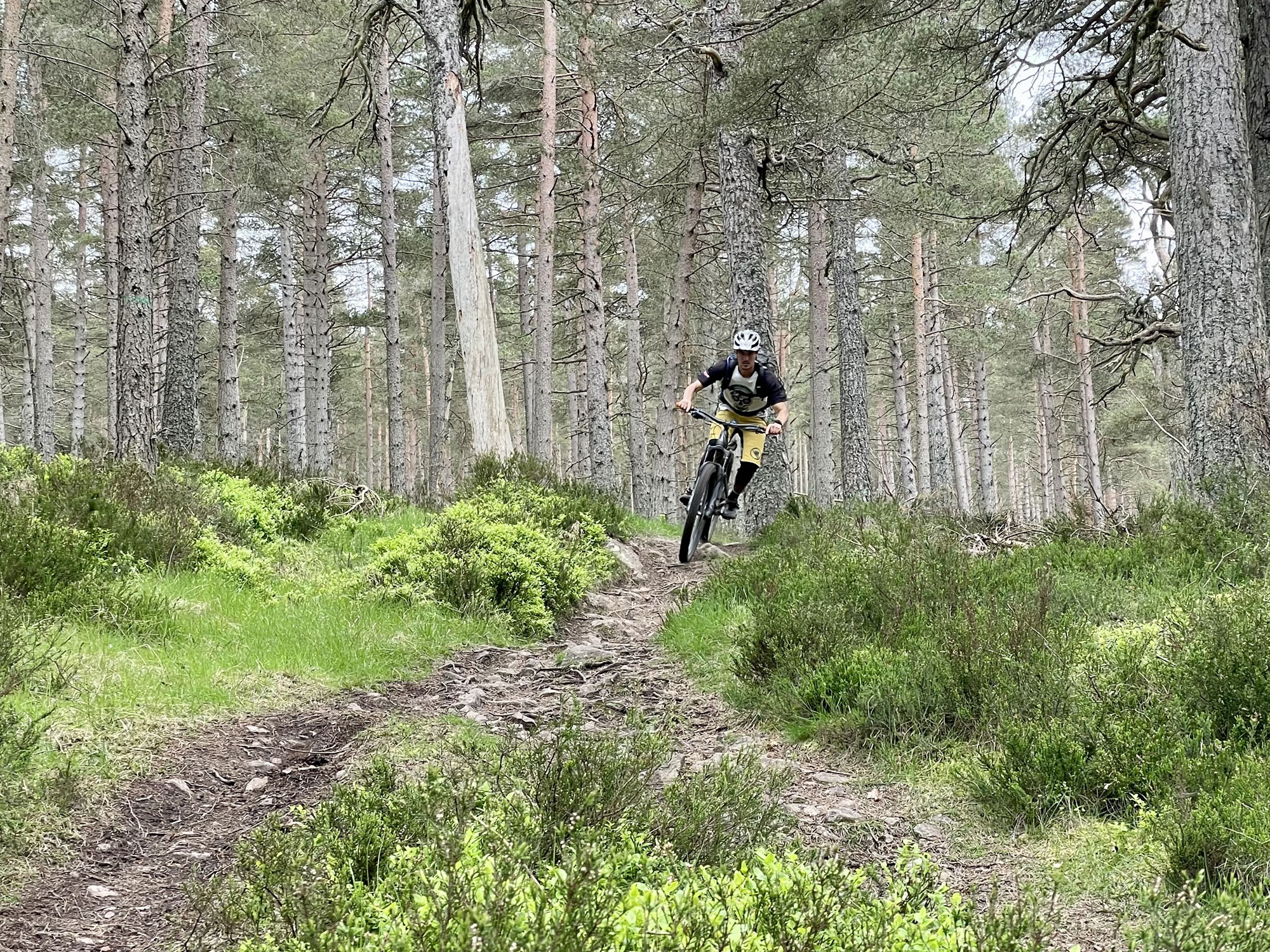 Mountain biking through rough forest ground in Ballater Deeside