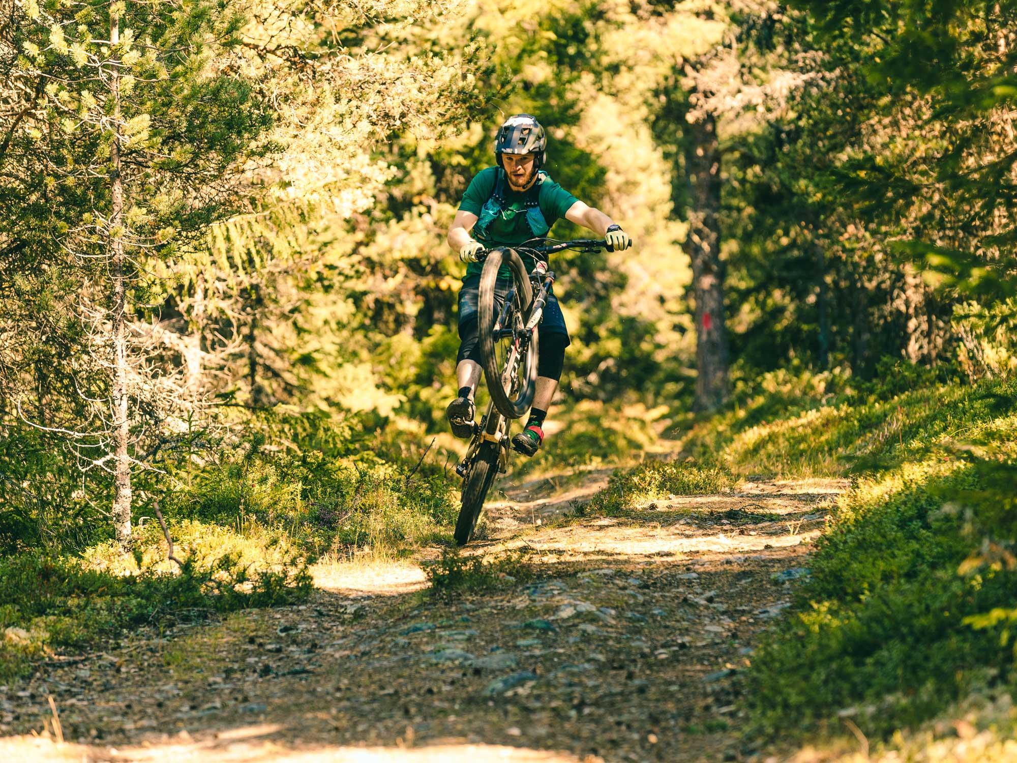 Mountain Biker doing a wheelie in forest in Norway